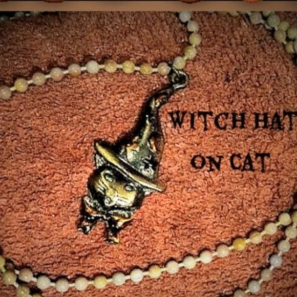 Witch Hat on Scary Cat - Picture 1 of 8